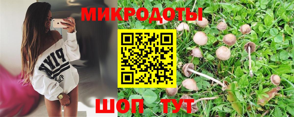 Барнаул  Псилоцибиновые грибы MAGIC MUSHROOMS  Вход с VPN  Псилоцибиновые грибы Psilocybine cubensis 