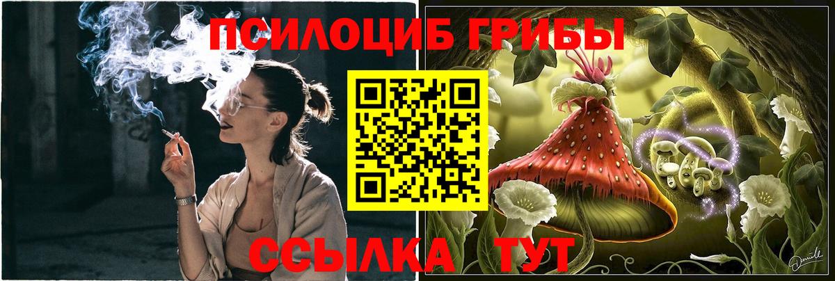 Галлюциногенные грибы MAGIC MUSHROOMS Барнаул